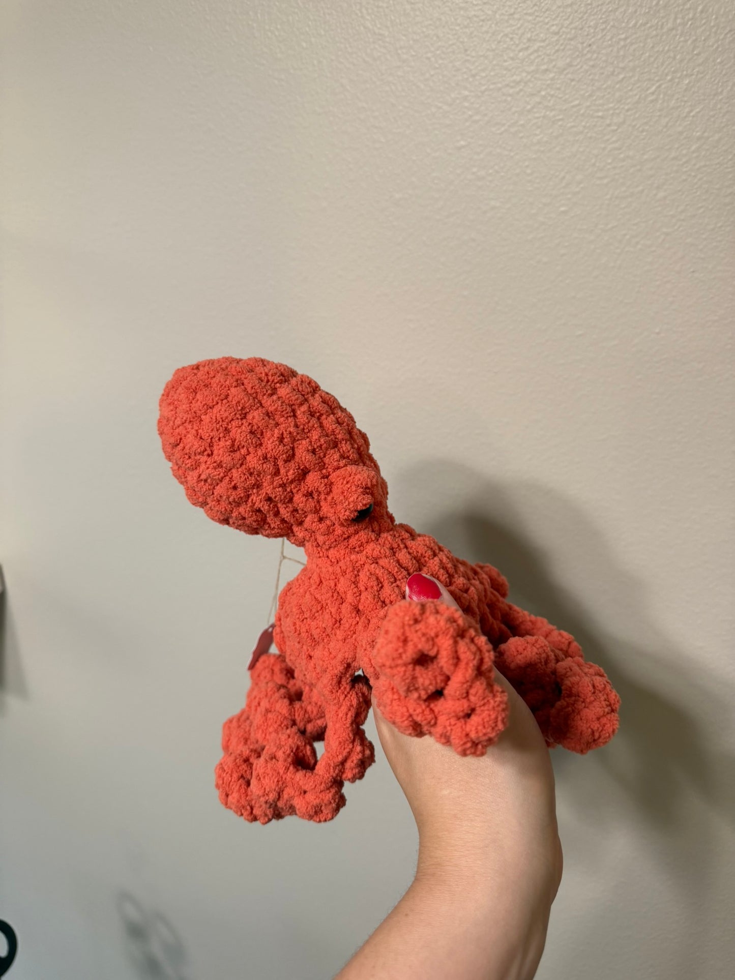 Octopus - Small
