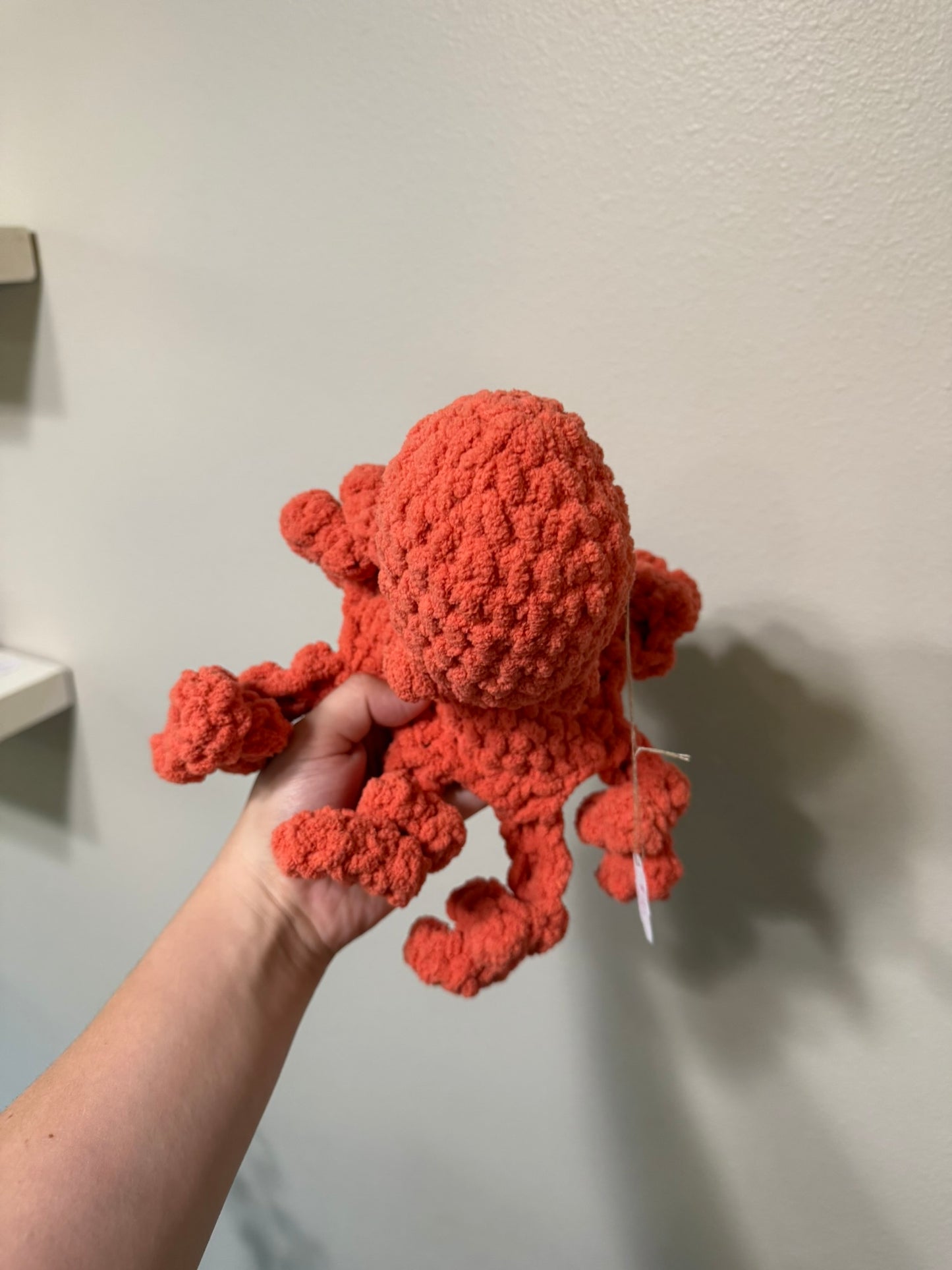 Octopus - Small