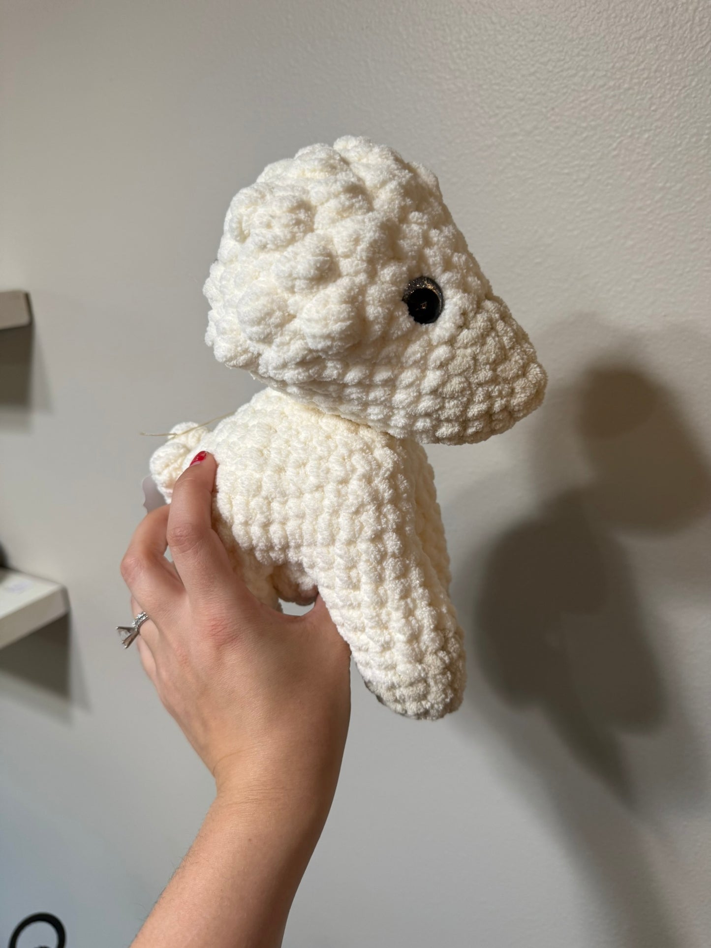 Sheep