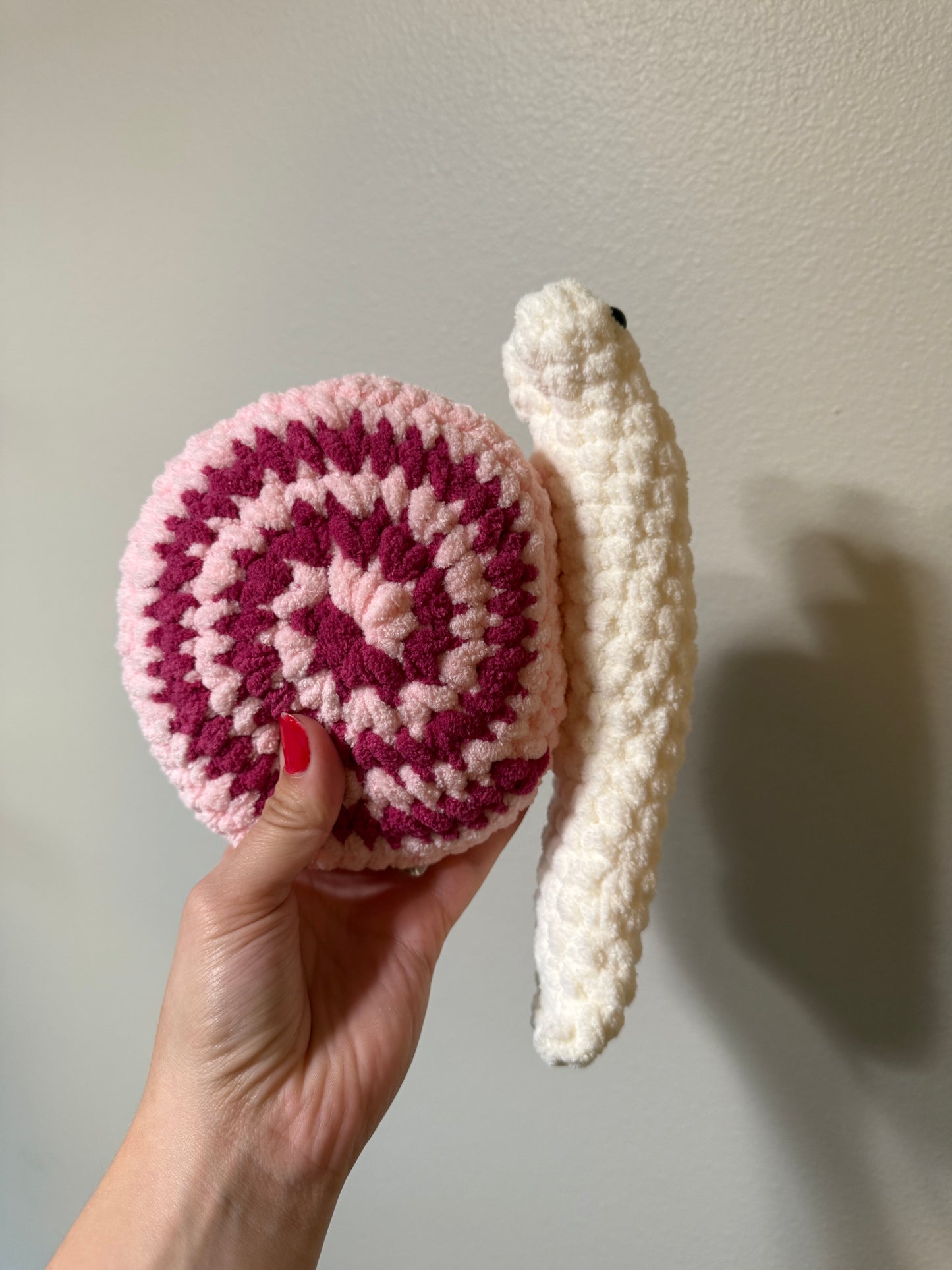 Snail Swirl