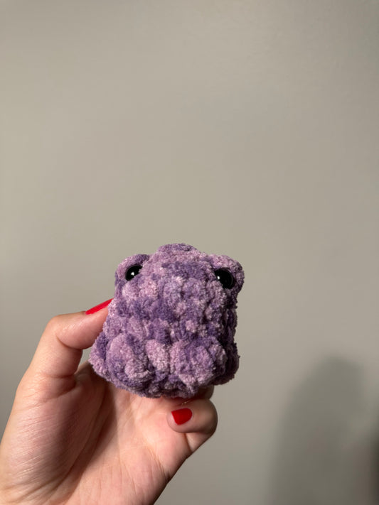 Pocket Frog